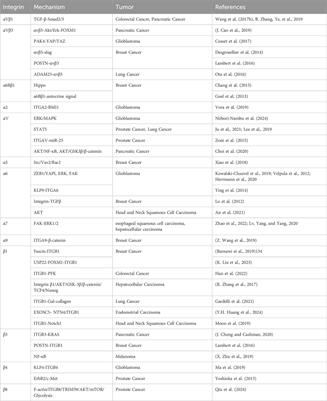 Integrins in cancer stem cells
